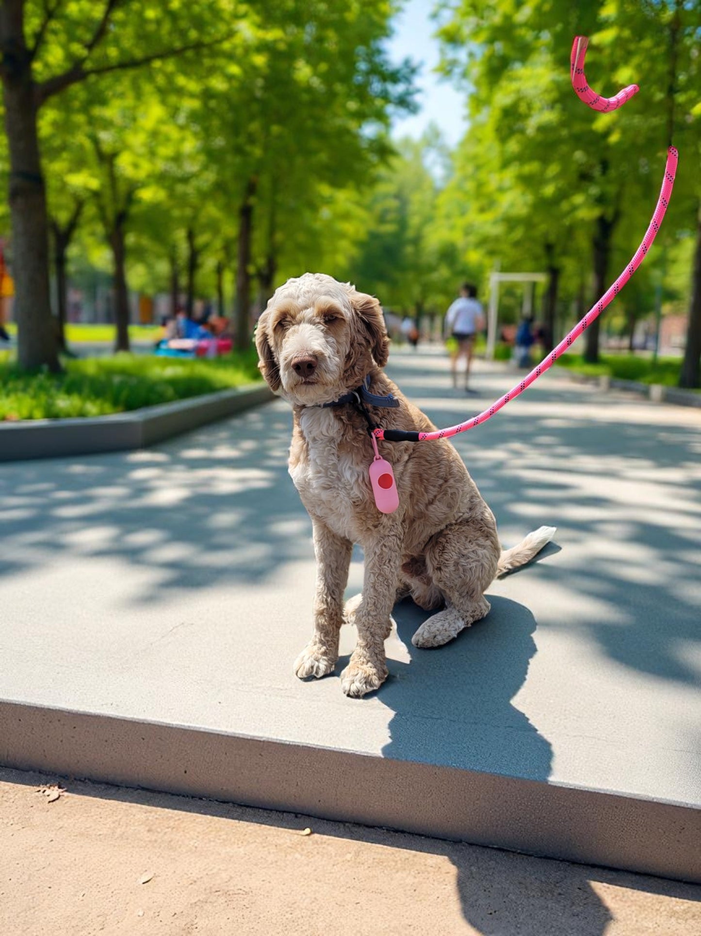 5 ft Leash with waste bag dispenser
