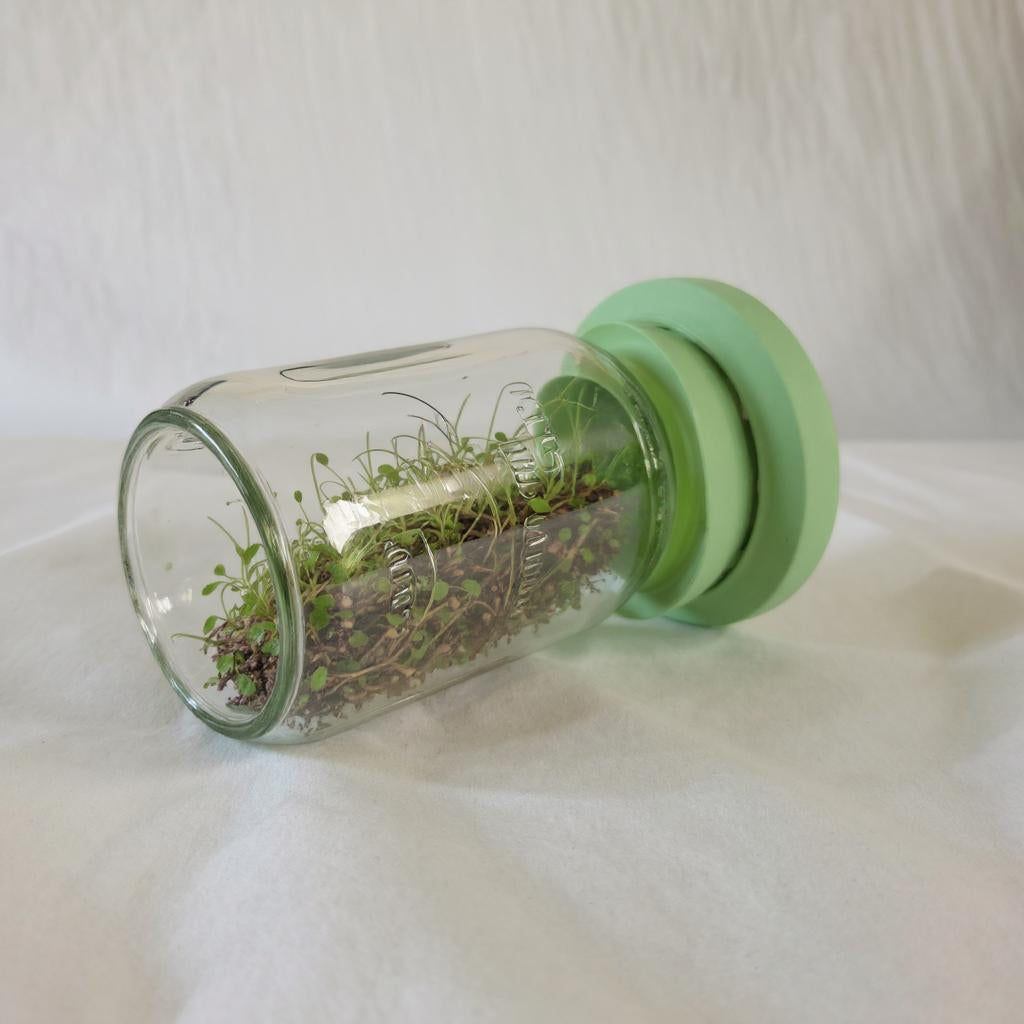 Sprouting Lids for canning jars