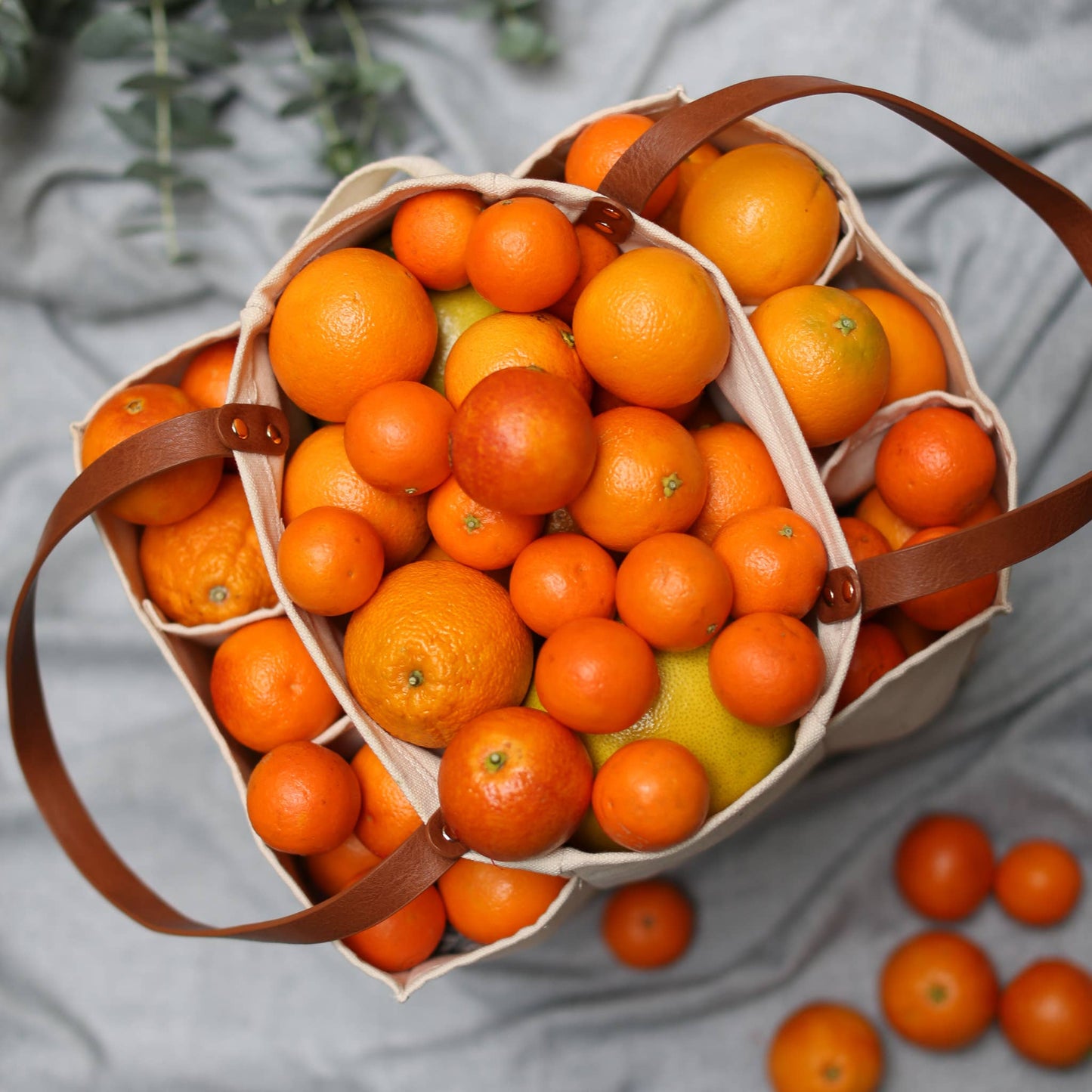 Heavy Canvas Tote Bag | Reusable Multi-Pocket Market Tote