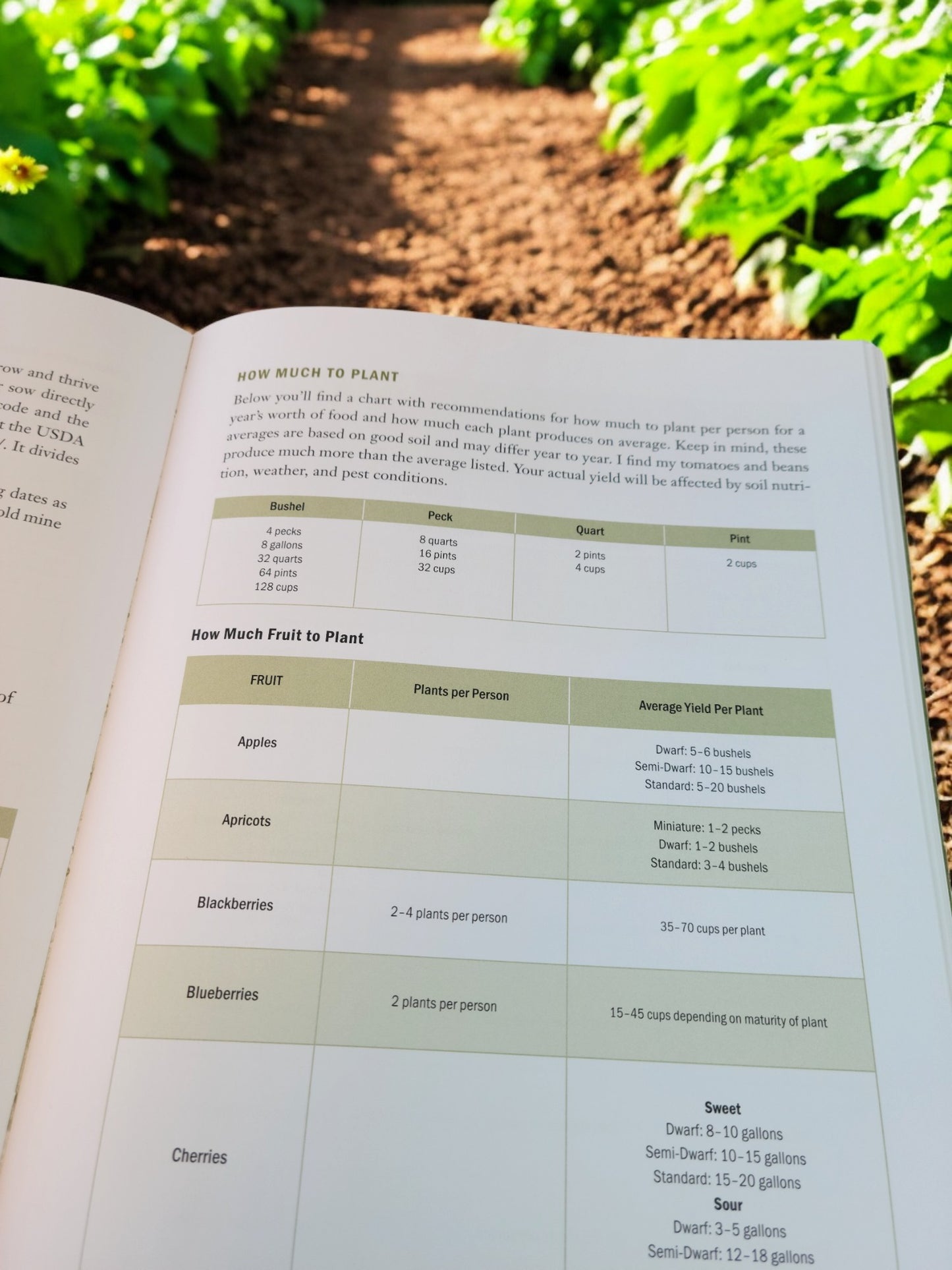 Family Garden Planner