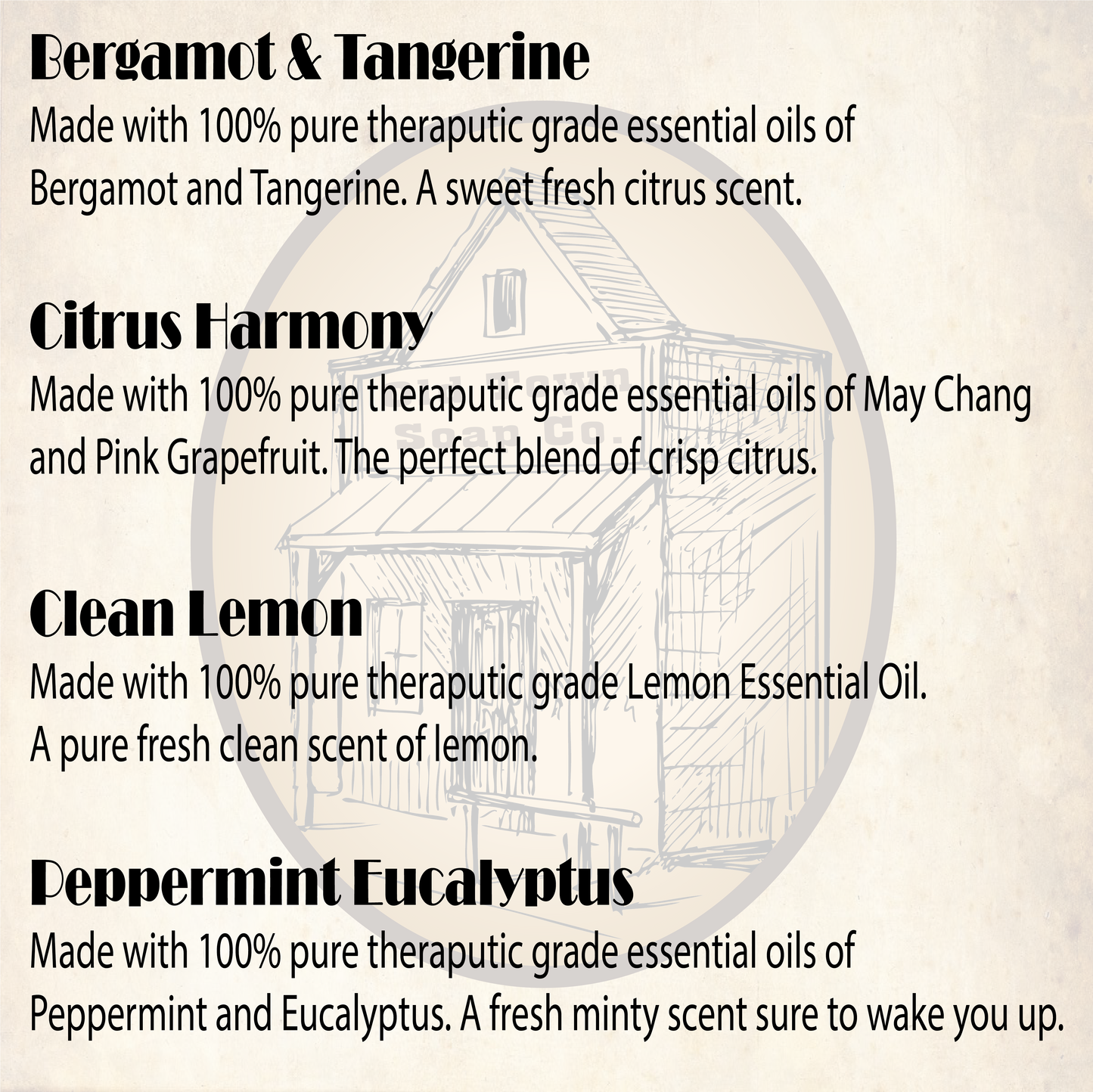 Dish Soap Bar -Avail in 4 Scents -For Sparkling Clean Dishes