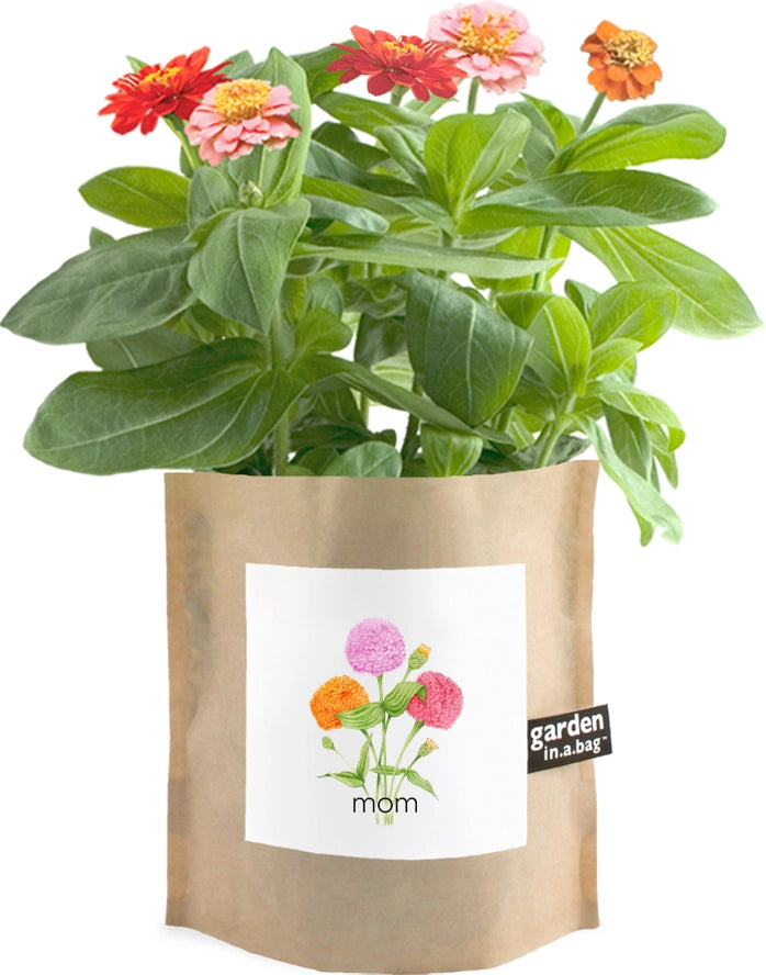 Mother's Day Garden in a Bag Kit