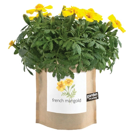 Mother's Day Garden in a Bag Kit